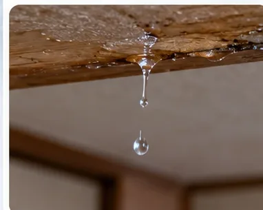 天井から落ちる雨漏りの水滴